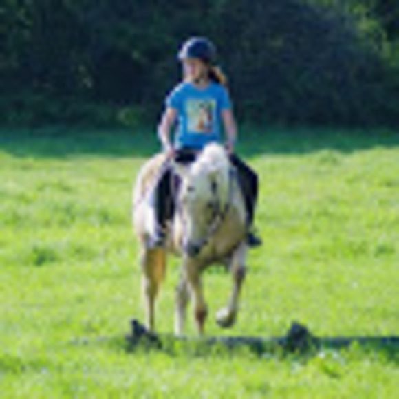 Meet your Posher, Ayla - Picture 1 of 1